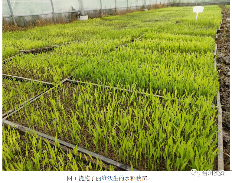 臺州農(nóng)資 臺州農(nóng)資