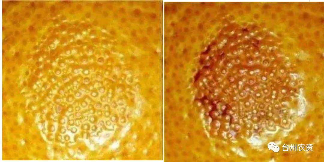 1675666584806200.png 640 (52).png